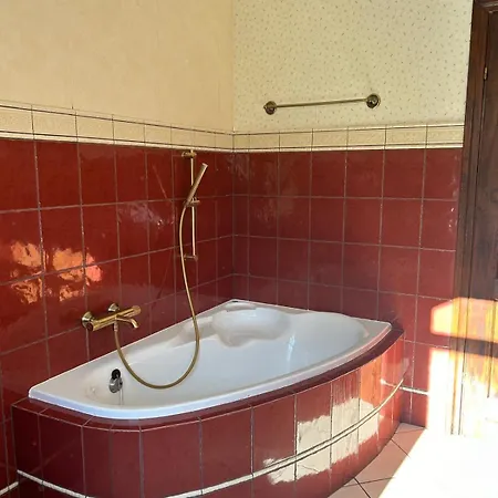 House Silesia - 4 Pers - Parking, Garden, Dogs Are Welcome Apartament Orzesze