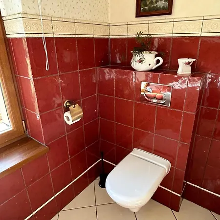 House Silesia - 4 Pers - Parking, Garden, Dogs Are Welcome * Orzesze